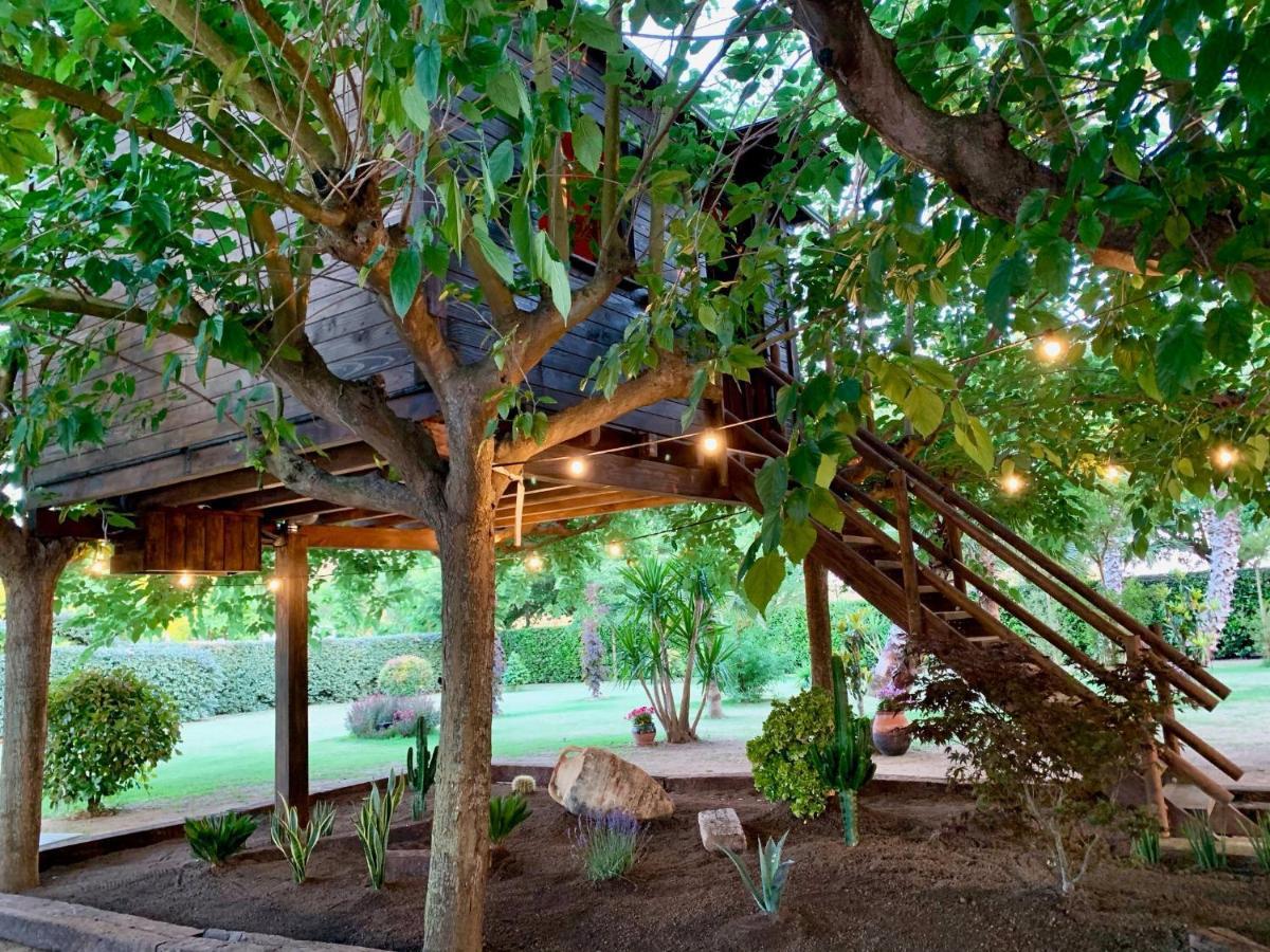 NatureTreeHouse Casa sobre los árboles Blanes Exterior foto